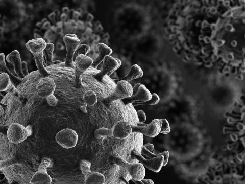 Coronavirus Illustration